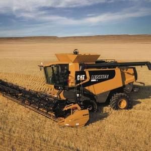 Meet your Posher, Caleb